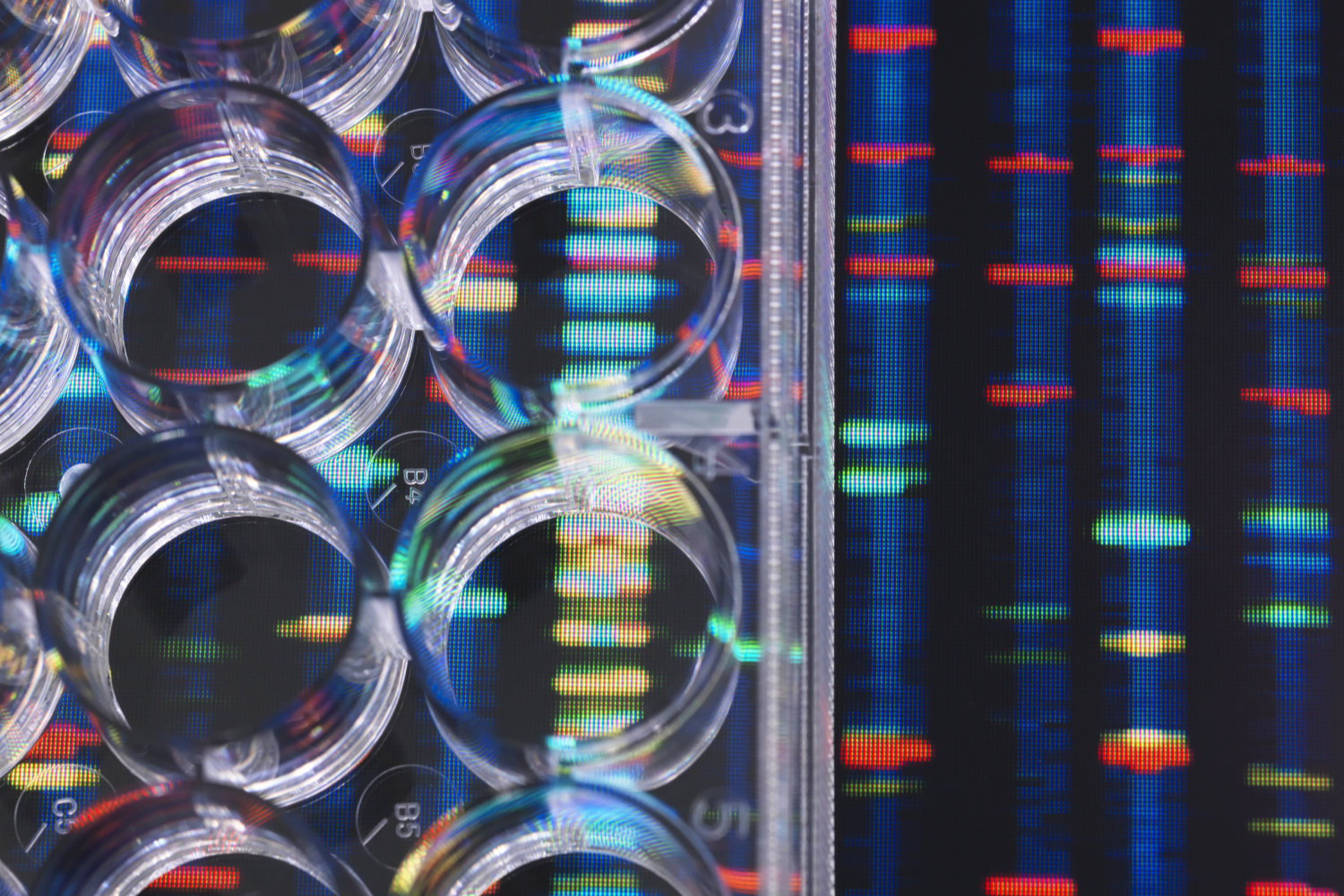 CRISPR-related Therapies